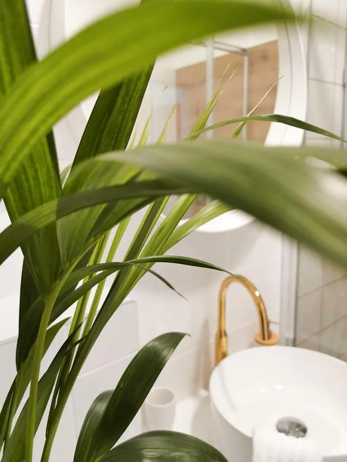 Apartment Litore Pula